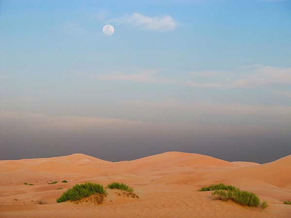 desert moon.jpg