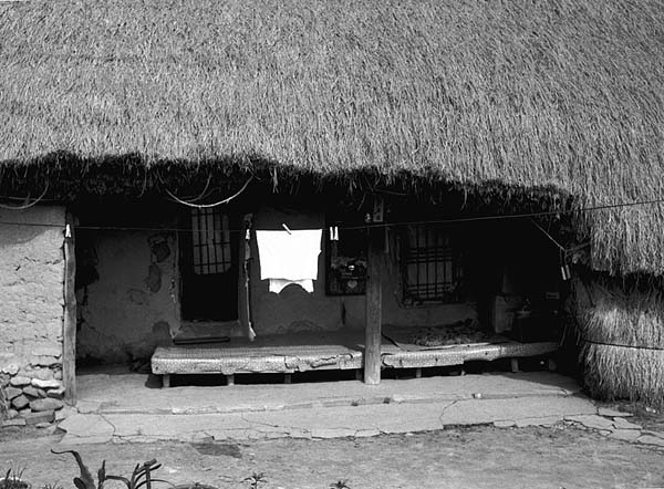 straw thatch house.jpg