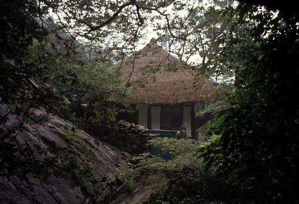 forest hut.jpg