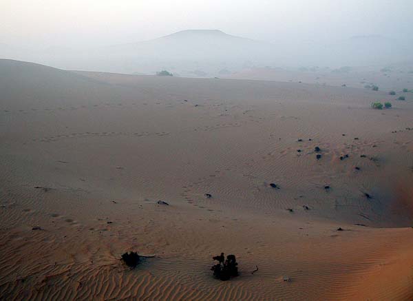 foggy desert.jpg