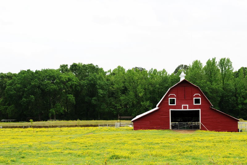 Barn on Overton Road, 4-29-2009