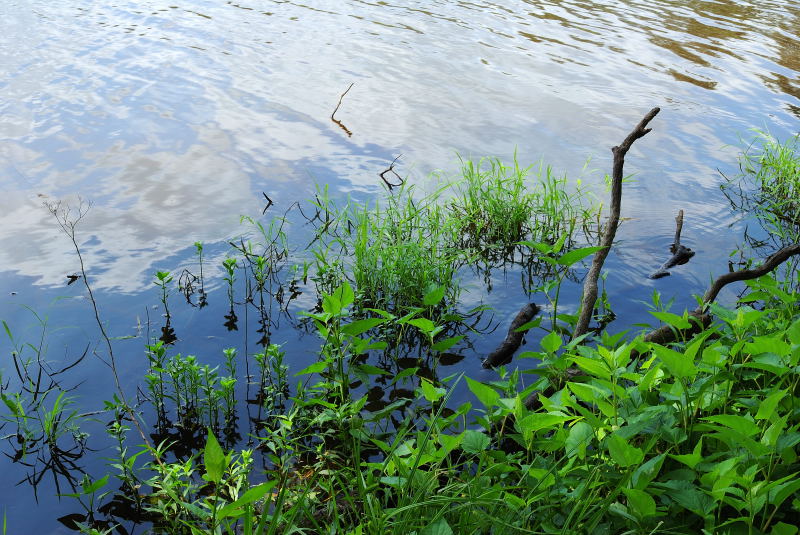 Lake Overton, 4-29-2009 (#4)