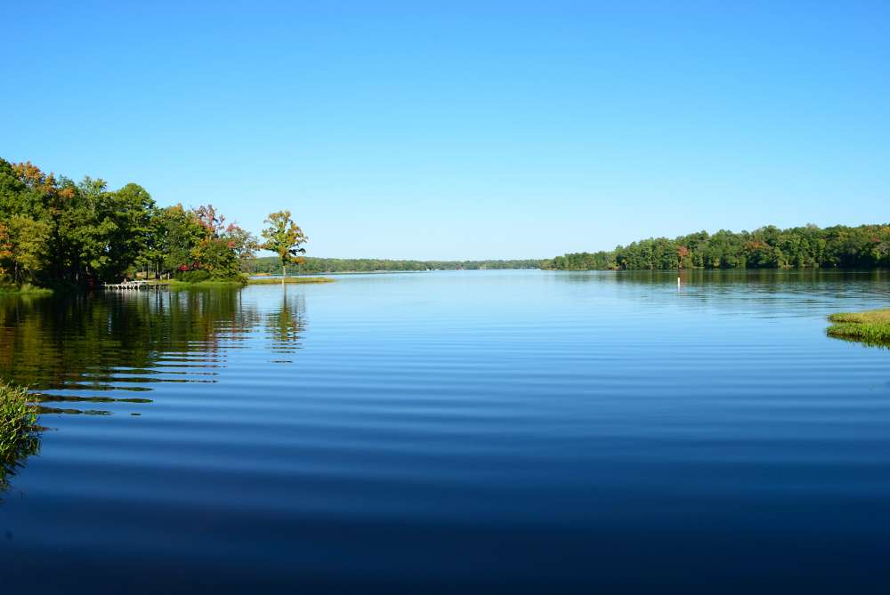 (20101015_160551_rj_b_d40x)