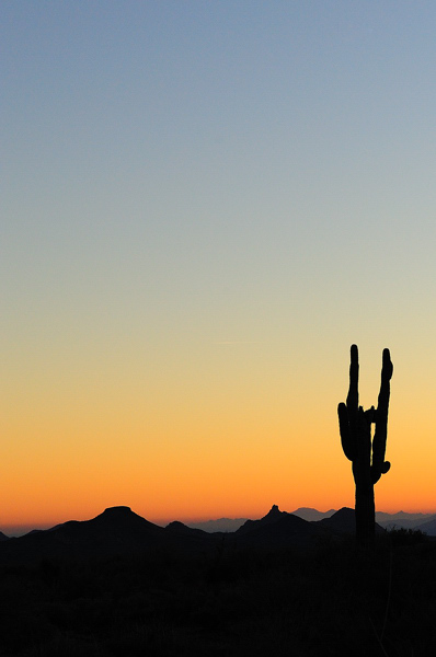 McDowell Mountains Sunset