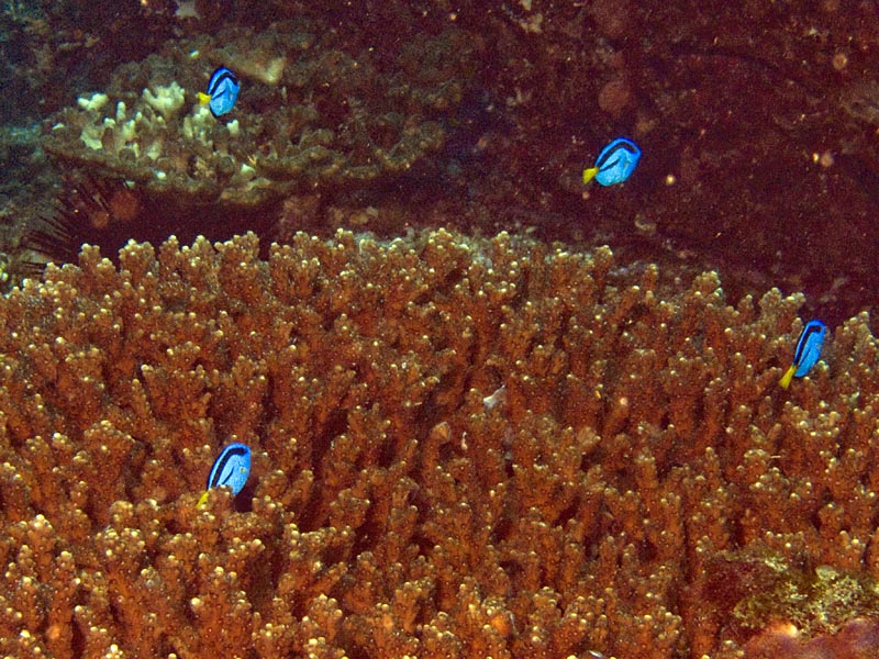 M0012894.jpg