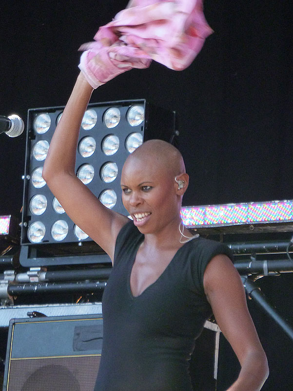 Skunk Anansie