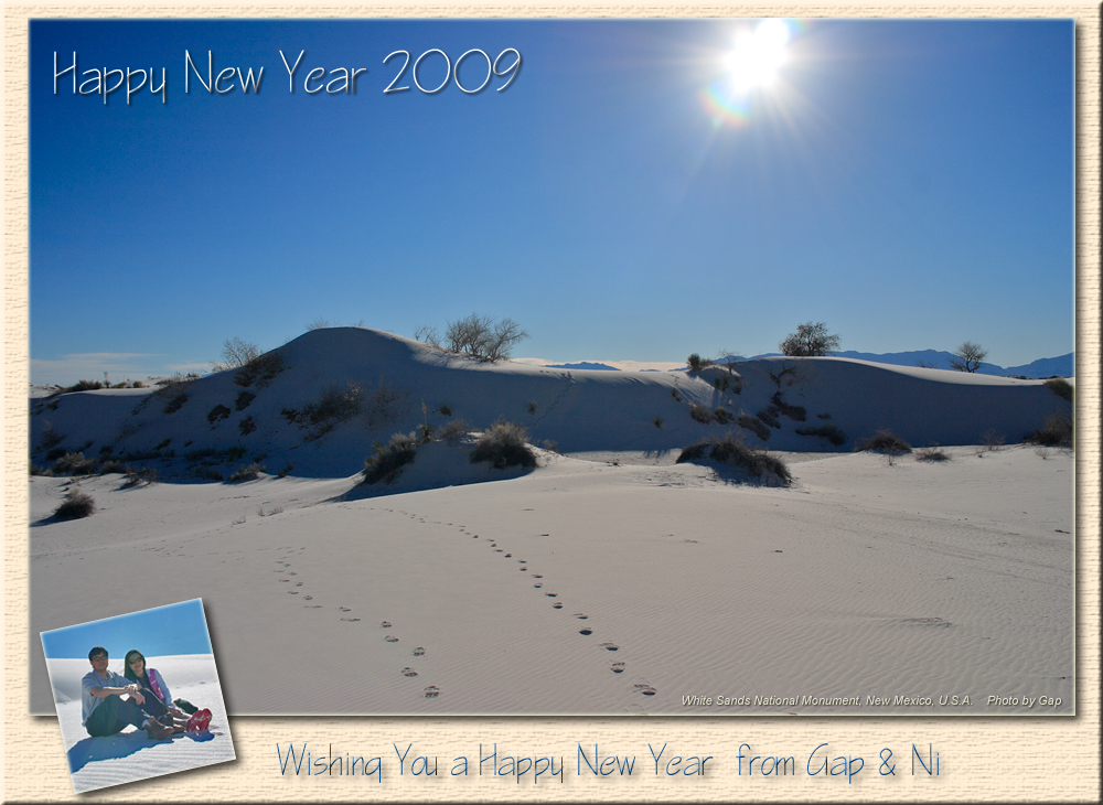 Happy New Year 2009