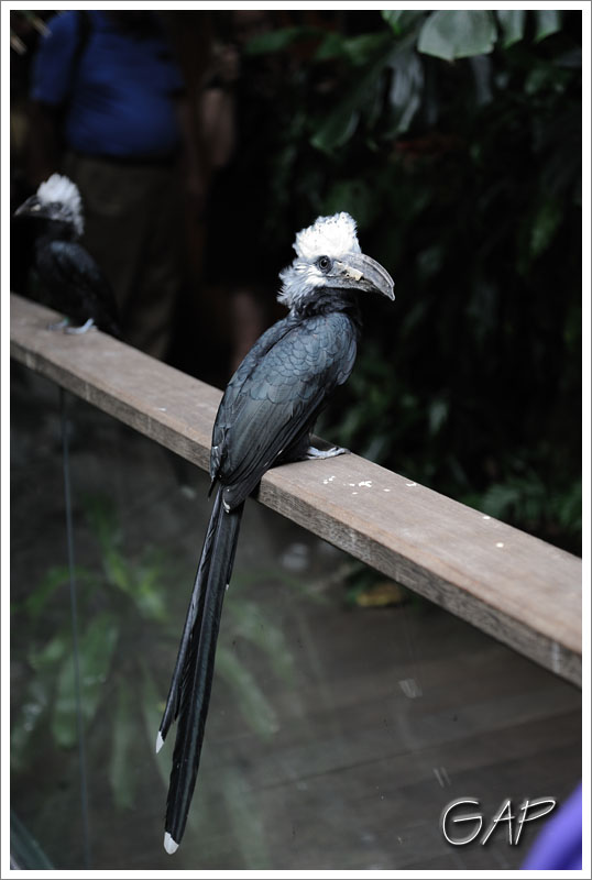 Visit to Central Park Zoo