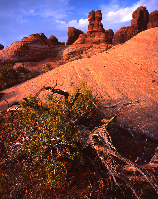 Arches National Park, Utah