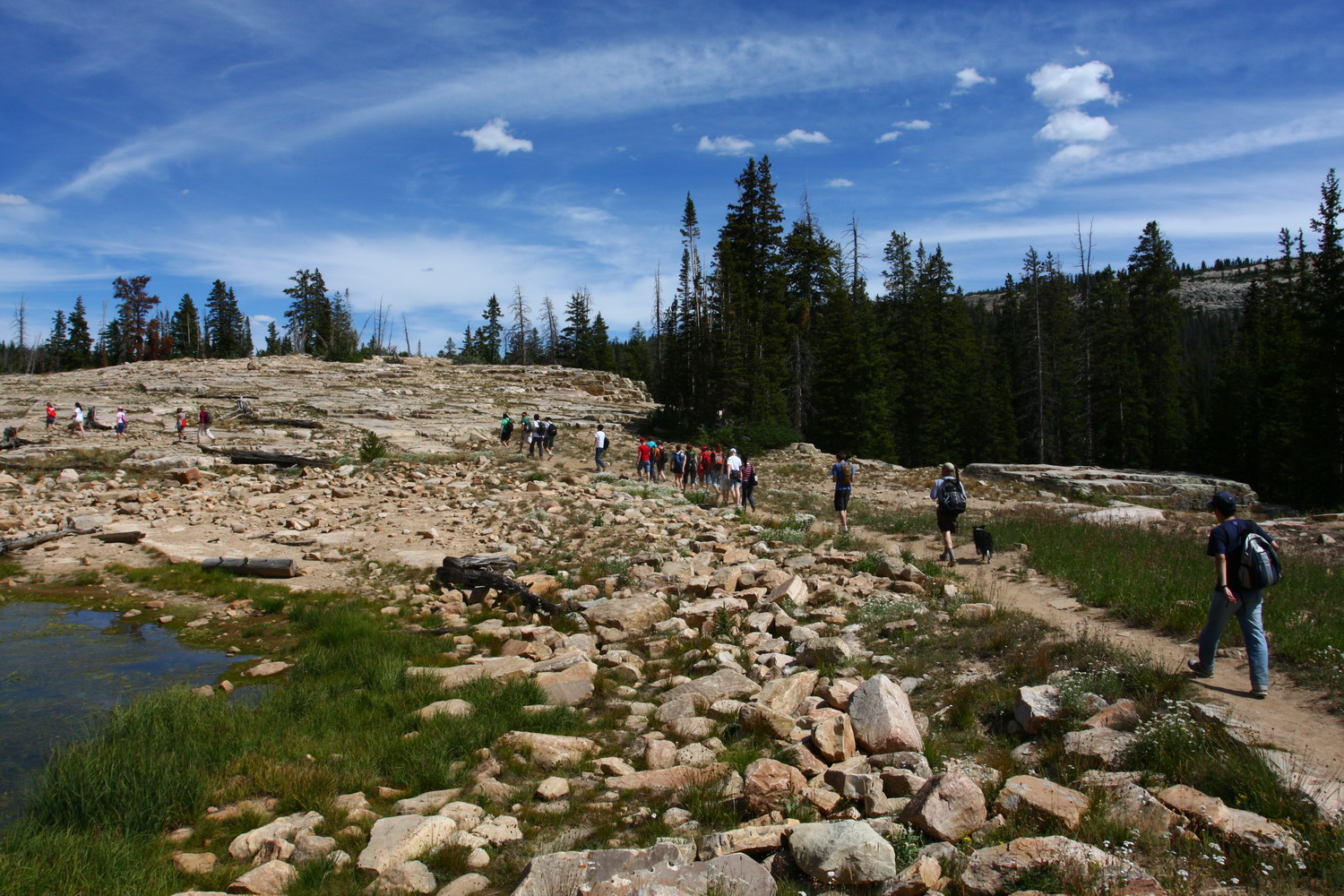 IMG_6531.JPG