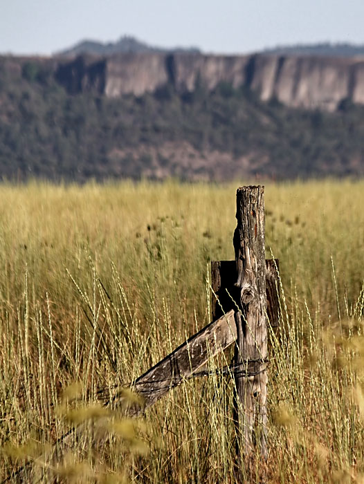 Fence Post