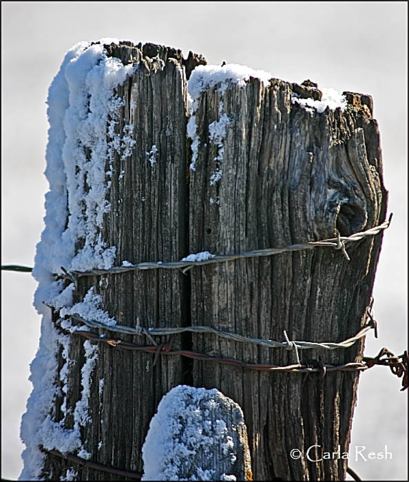 Old Fence Post