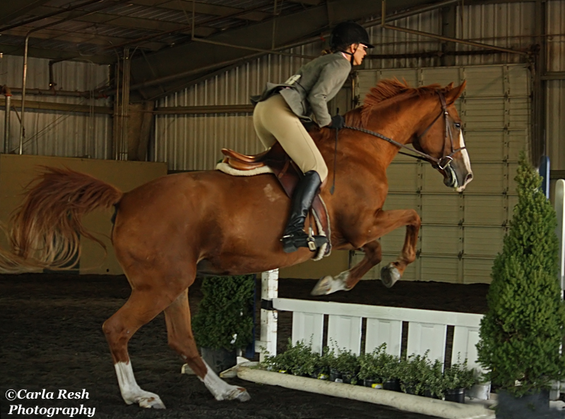 2012_09_16_0315_4pb.jpg