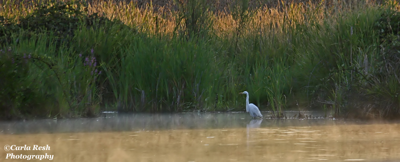Early morning fishing.....