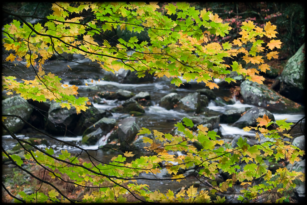 WM-2007-10-20--1448---Great-smoky---Alain-Trinckvel-3.jpg