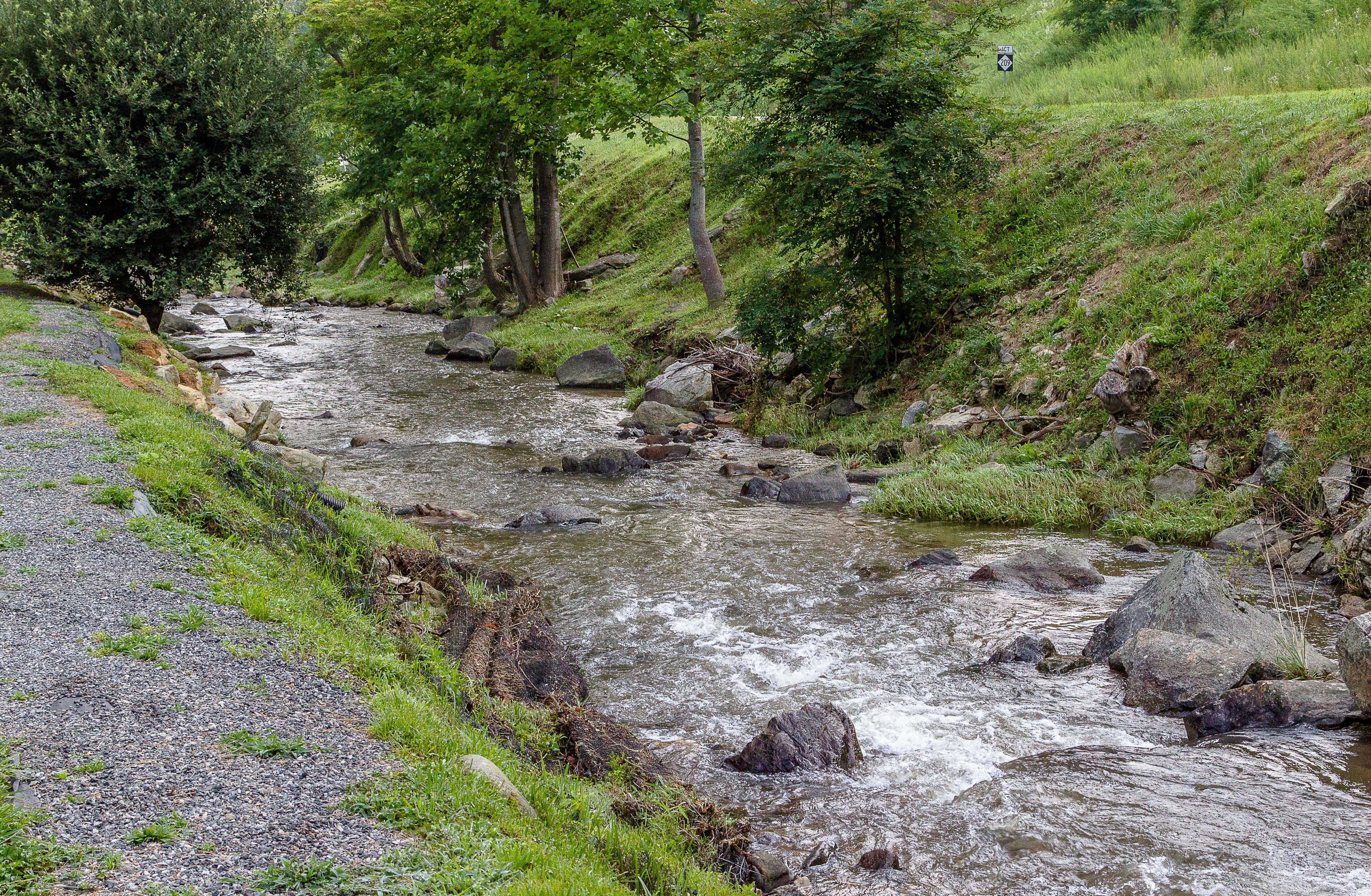 _MG_4993.jpg