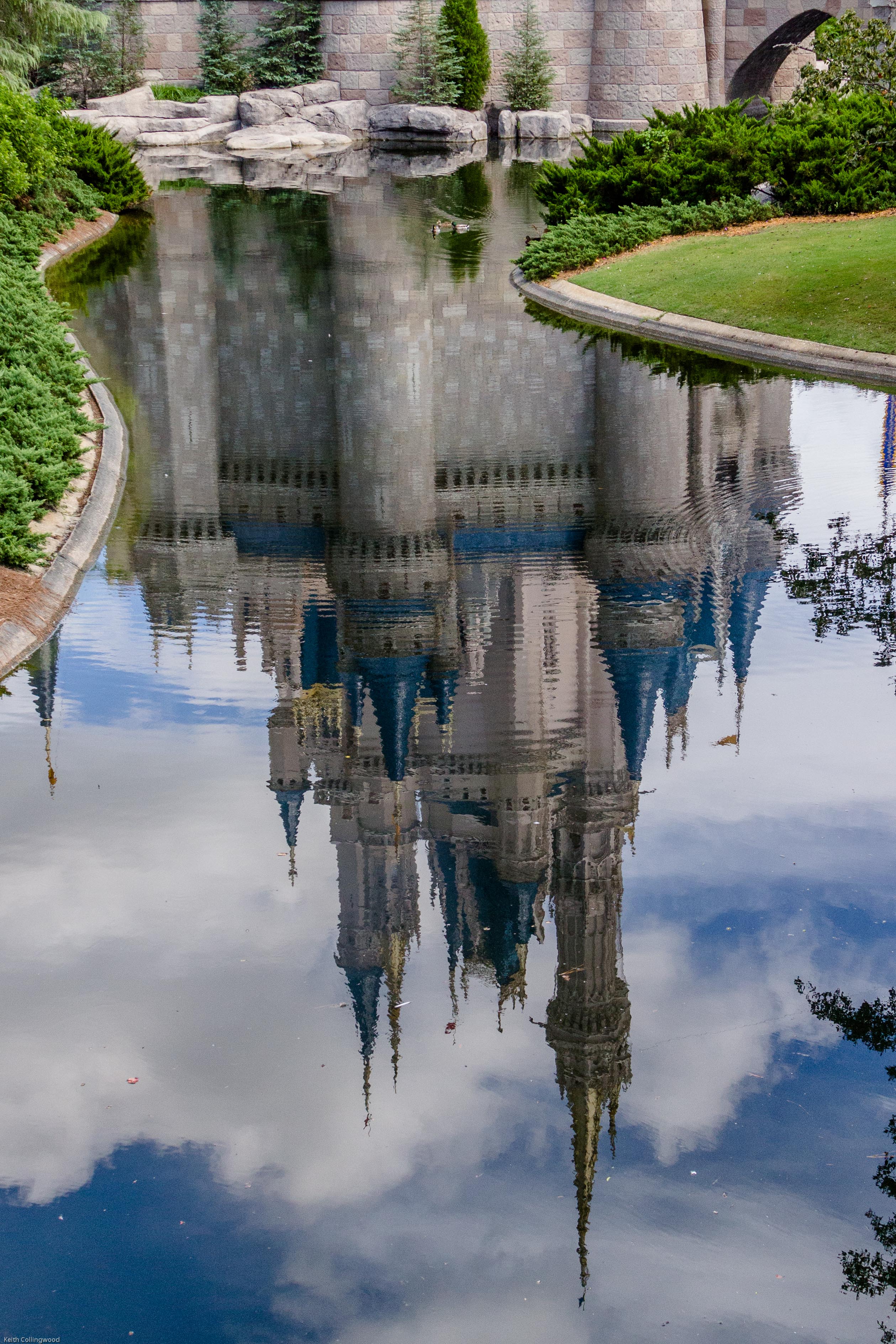 Reflection
