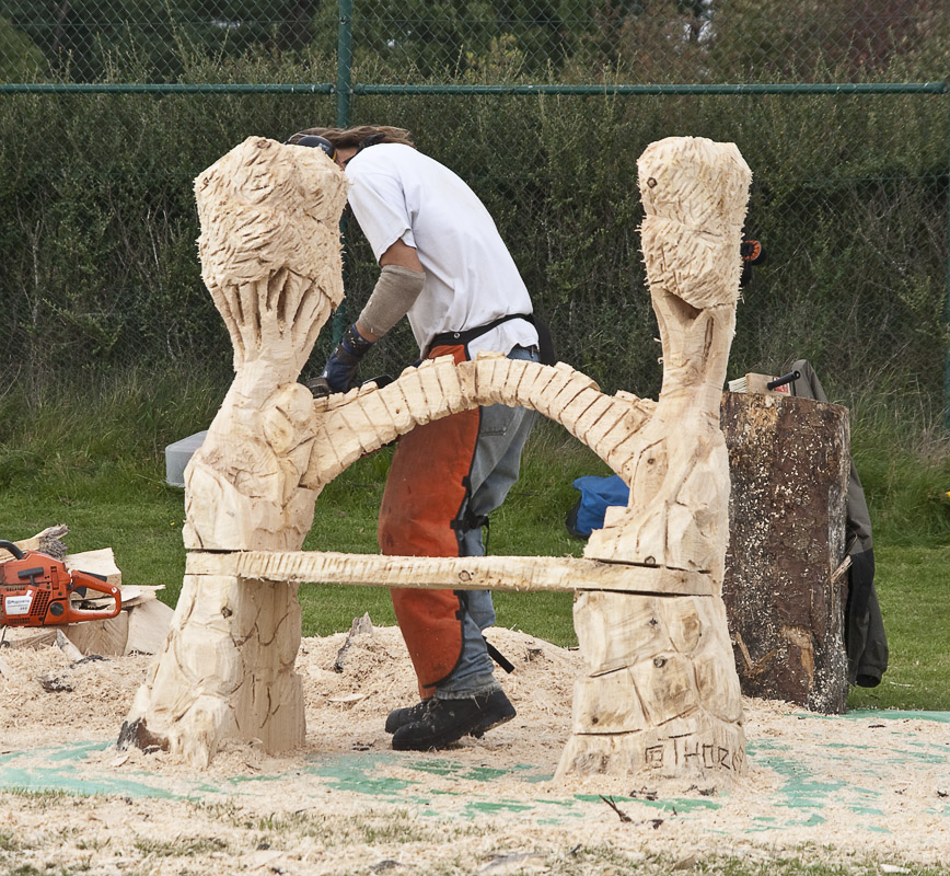 Carve Carrbridge 2009