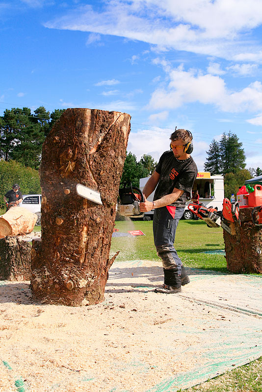 Carve Carrbridge 2011