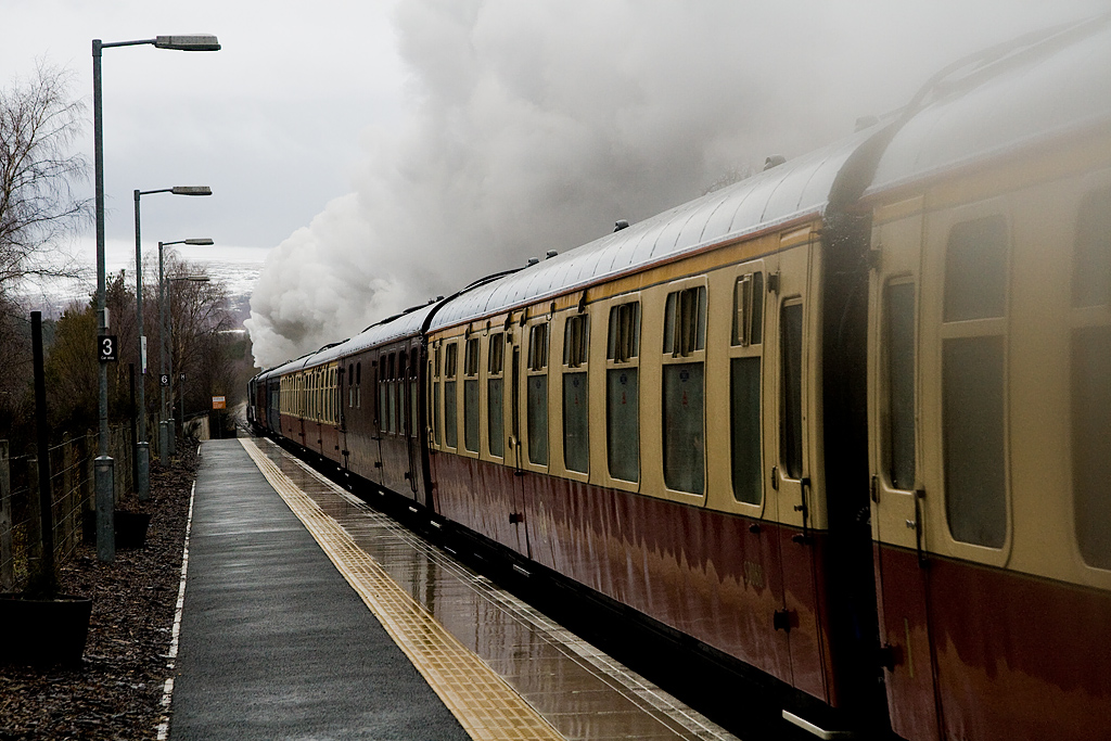 Steam Train