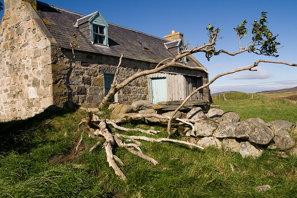 Abandoned cottage