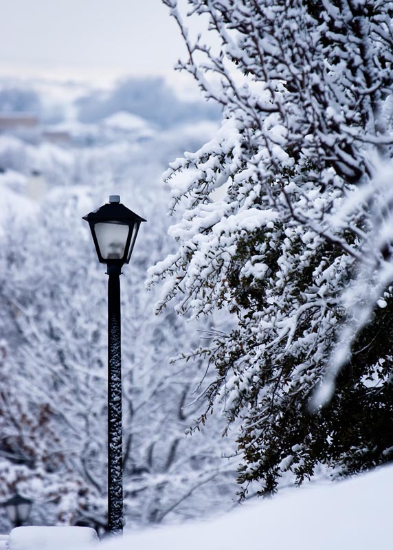 Welcome To Narnia