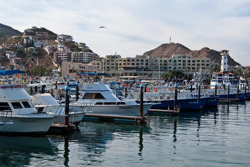 Harbor