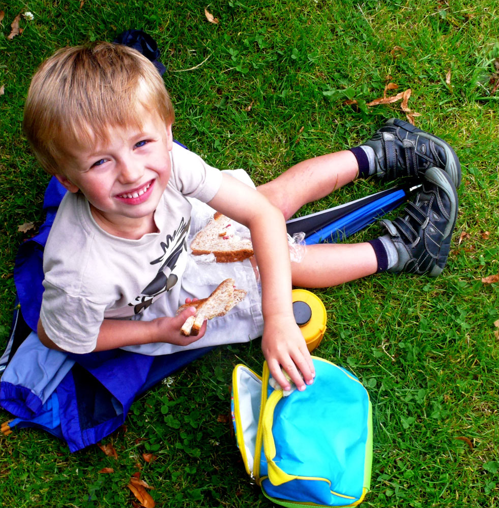 The Picnic