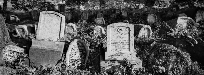 Jewish Cemetary Kovacici Sarajevo Bosnia 2008