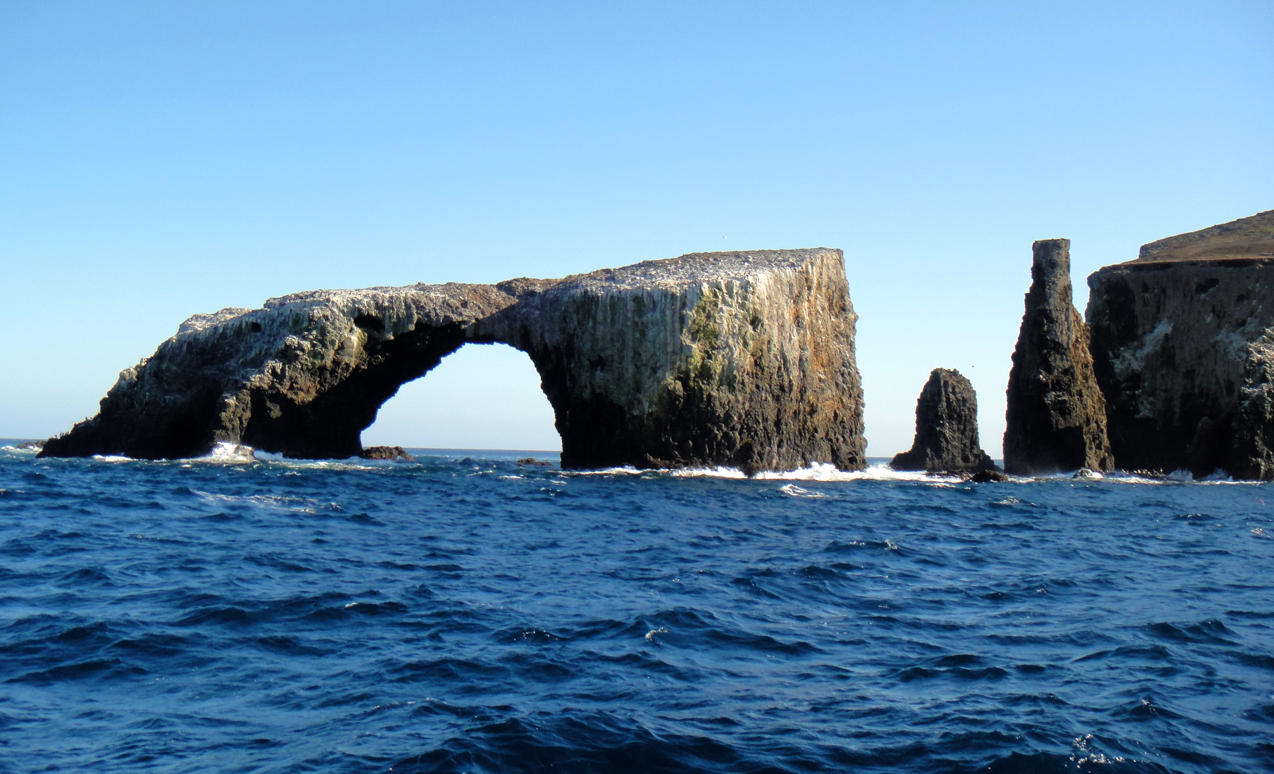 Channel Island NP