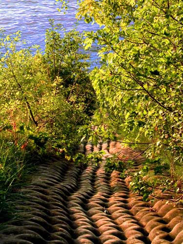 Path to water