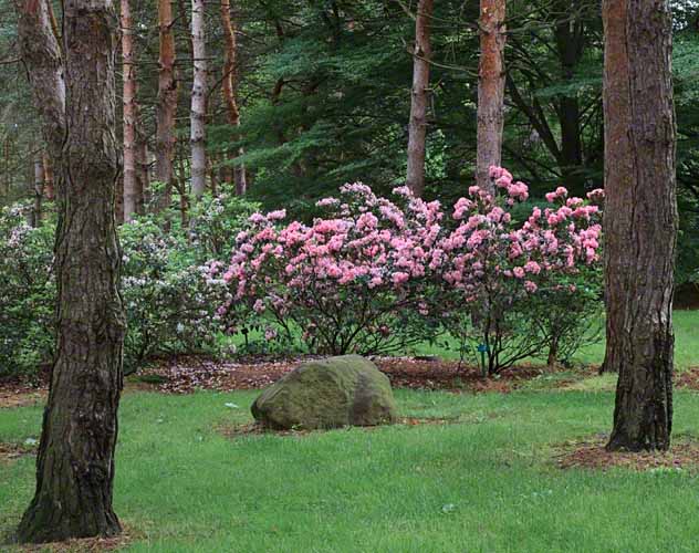 Schoepfle Garden