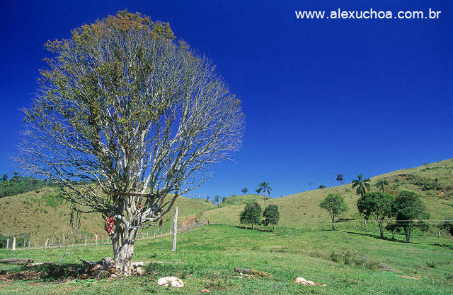 Fazenda do interior paulista, Iporanga, So Paulo.jpg