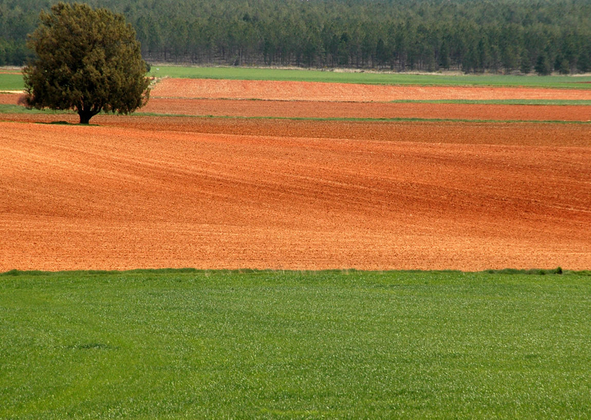 Soria Land