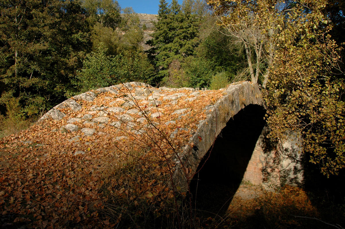 Old Bridge in Las Hoces del Duratn