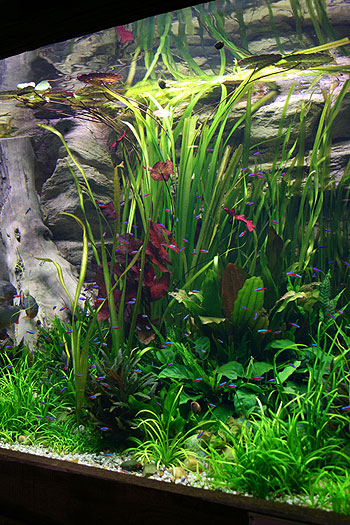 about 4 month after set up