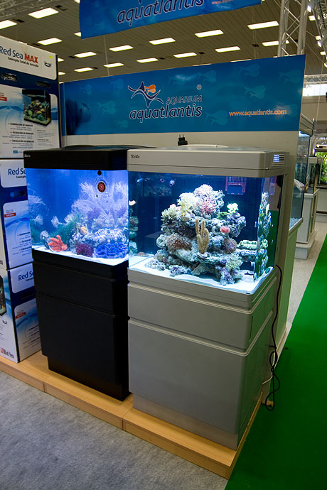 Fisch & Reptil 2007  30.11.-02.12.07