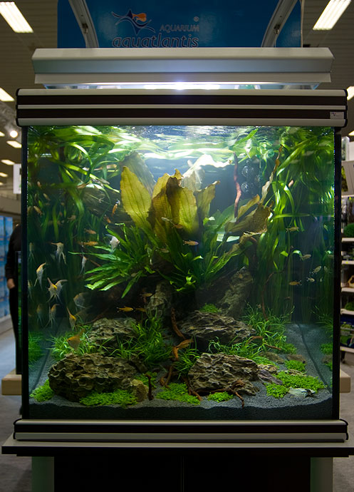 Fisch & Reptil 2007  30.11.-02.12.07