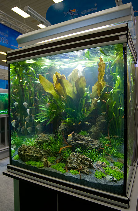 Fisch & Reptil 2007  30.11.-02.12.07