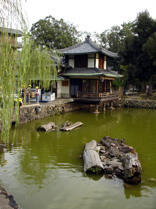 DSC01408.JPG