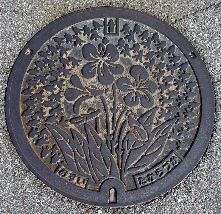 More pretty manhole covers.