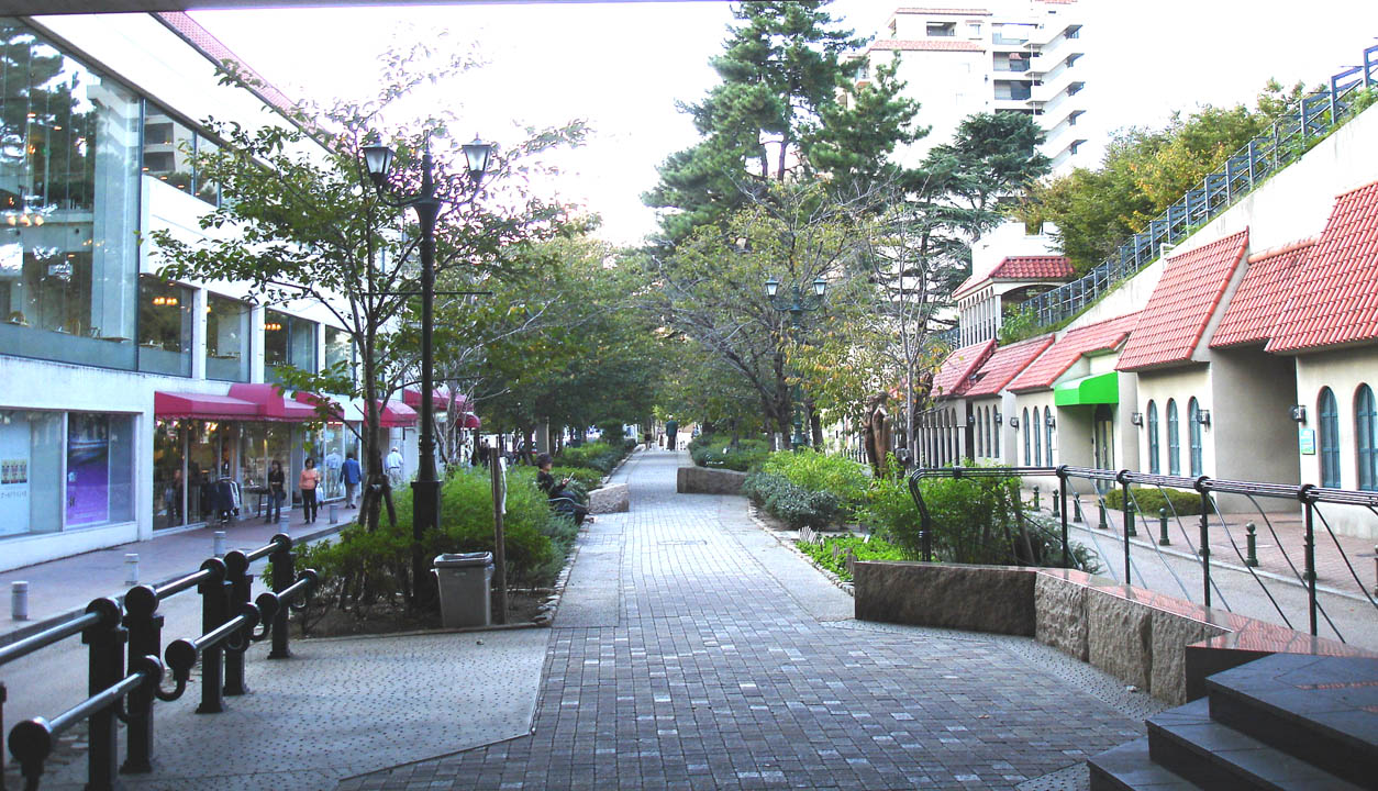 Flower Road
