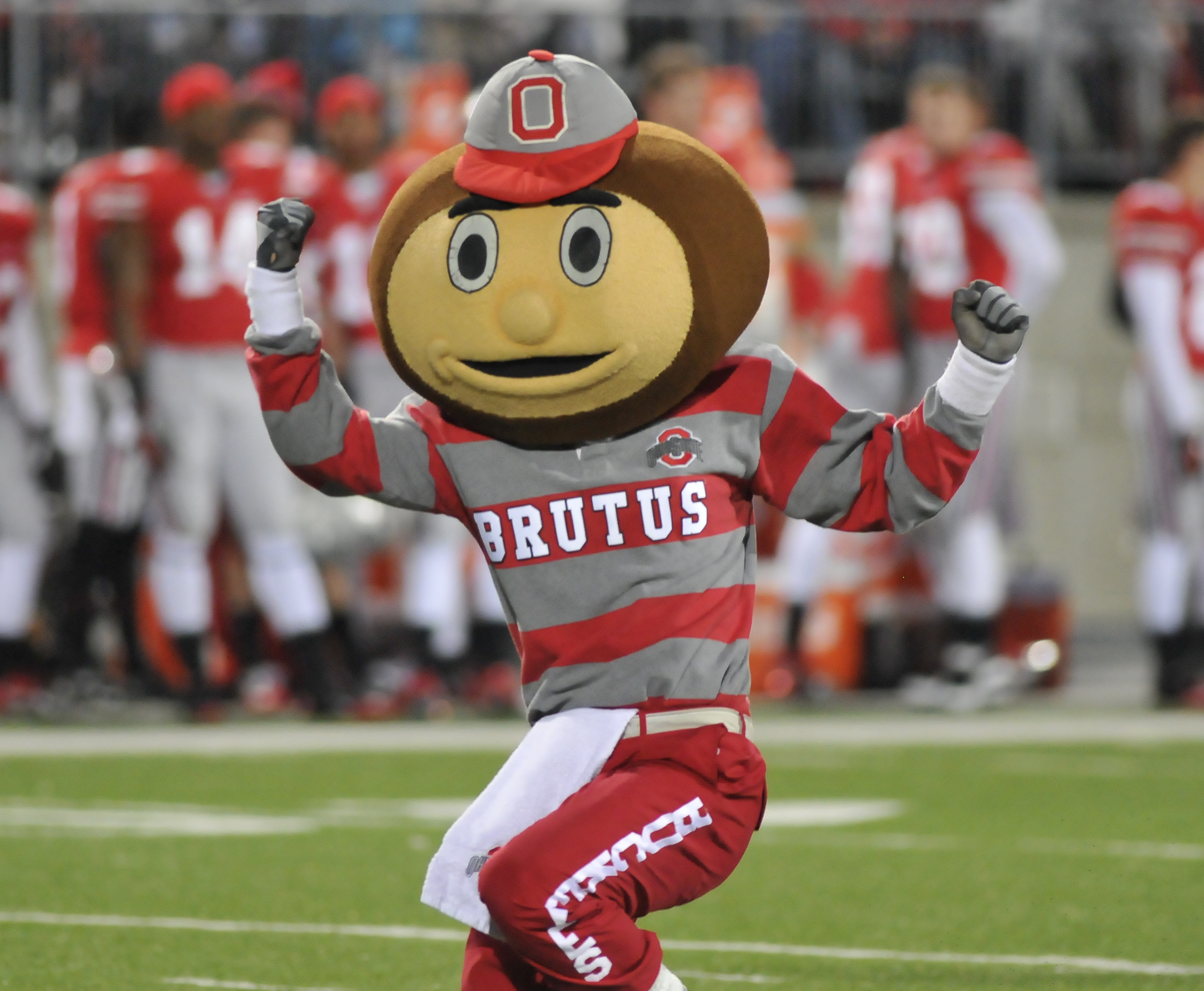 brutus.jpg