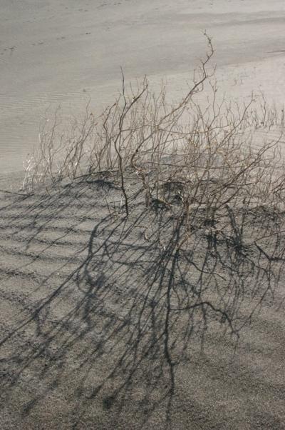Low-sun Shadow Crosses Sand-ripples