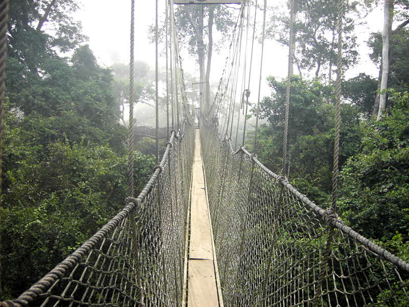 The Canopy Walkway, Kakum NP, Ghana