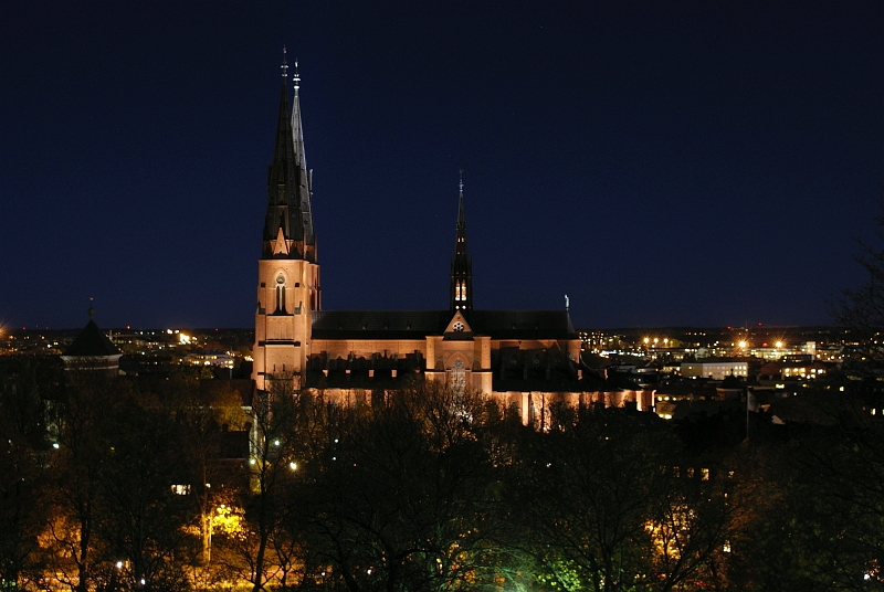 DSC03706.JPG