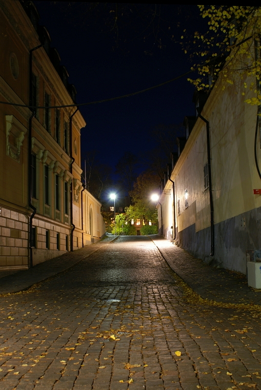 DSC03717.JPG
