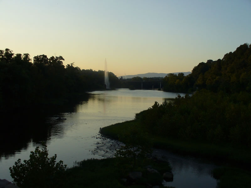 P1020202.jpg