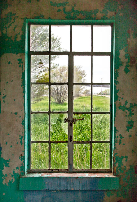 Window view