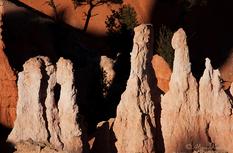 Bryce Canyon National Park